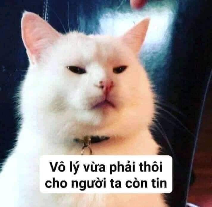 Meme ⚡ Vô lý vừa phải thôi cho người ta còn tin