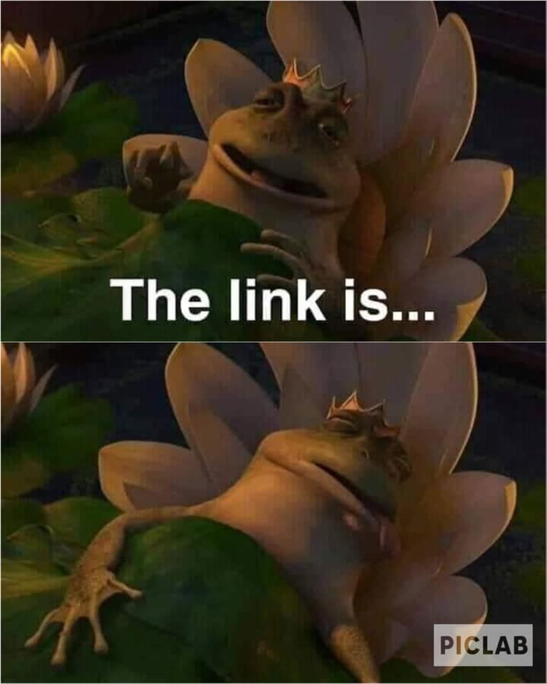 Meme ⚡ Vua ếch nói the link is… rồi lăn ra chết