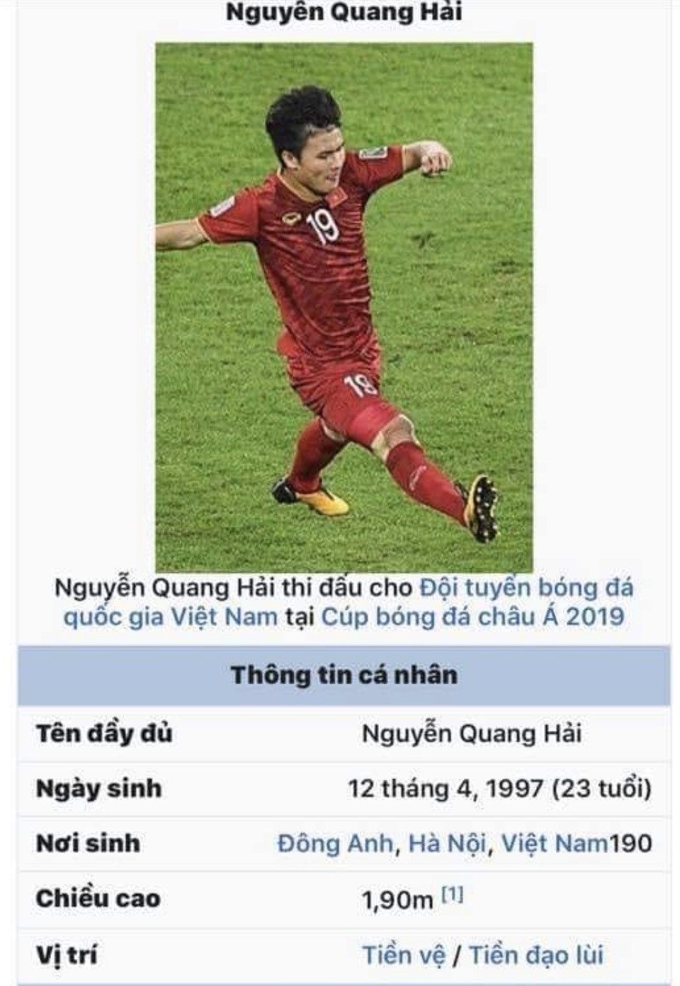 Meme ⚡ Wikipedia cập nhật chiều cao của Quang Hải thành 1m90