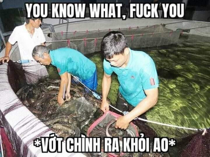 Meme ⚡ You know what, fuck you – vớt chình ra khỏi ao